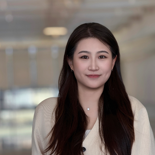 Yuan YANG - emlyon business school - Overview
