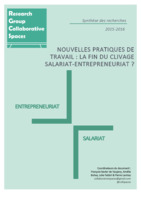 Nouvelles pratiques de travail: La fin du clivage salariat-entrepreneuriat ?, Synthèse des recherches 2015-2016