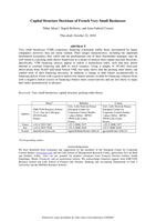 Capital Structure Decisions of French Very Small Businesses