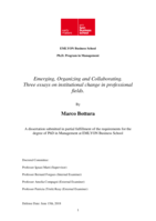 Emerging, Organizing and Collaborating: Three essays on institutional change in professional fields