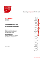 On the bankruptcy risk of insurance companies