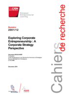 Exploring Corporate Entrepreneurship: A Corporate Strategy Perspective
