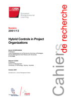 Hybrid controls in project organizations