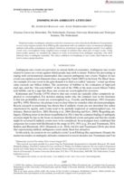 Zooming in on ambiguity attitudes