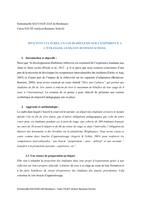 Dive into cultures: Un cours réflexif sur l'expérience à l’étranger à emlyon Business School