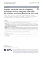 Platform combining statistical modeling and patient-derived organoids to facilitate personalized treatment of colorectal carcinoma