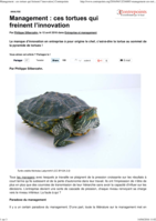 Management : ces tortues qui freinent l'innovation
