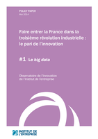 Faire entrer la France dans la troisième révolution industrielle: le pari de l’innovation, #1 : Le Big Data