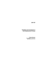Flexibility and commitment in the entrepreneurial process