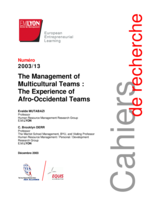The management of multicultural teams: The experience of afro-occidental teams