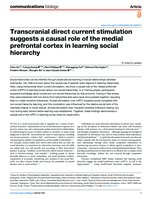 Transcranial direct current stimulation suggests a causal role of the medial prefrontal cortex in learning social hierarchy