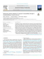 Enhancing systems thinking in corporate sustainability through a transdisciplinary research process