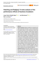 Hatching and fledging? A meta-analysis of the performance effects of business incubators
